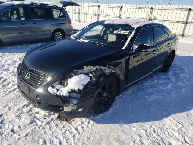 LEXUS LS 460 2010 with VIN JTHBL5EF7A5099607 - Photo from auction