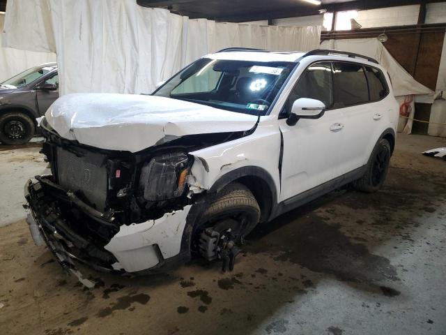 KIA TELLURIDE 2023 with VIN 5XYP3DGC4PG353374 - Photo from auction