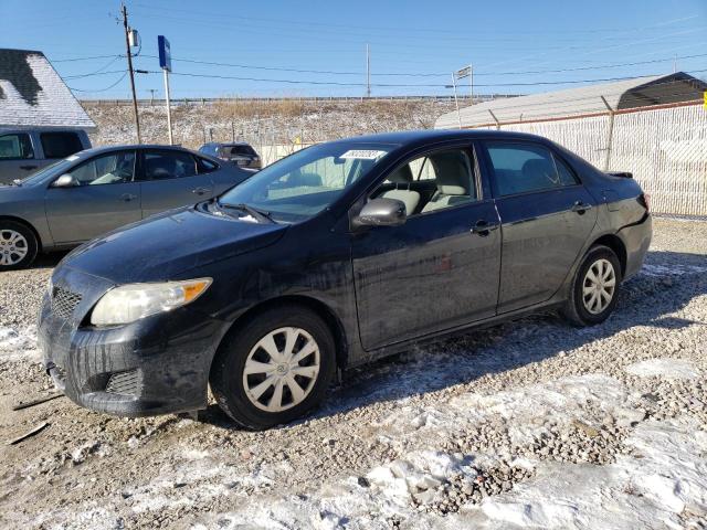 TOYOTA COROLLA BA 2010 with VIN 2T1BU4EE0AC514169 - Photo from auction