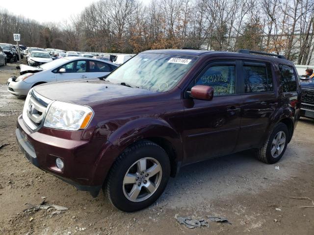 HONDA PILOT EX 2011 with VIN 5FNYF4H44BB007375 - Photo from auction