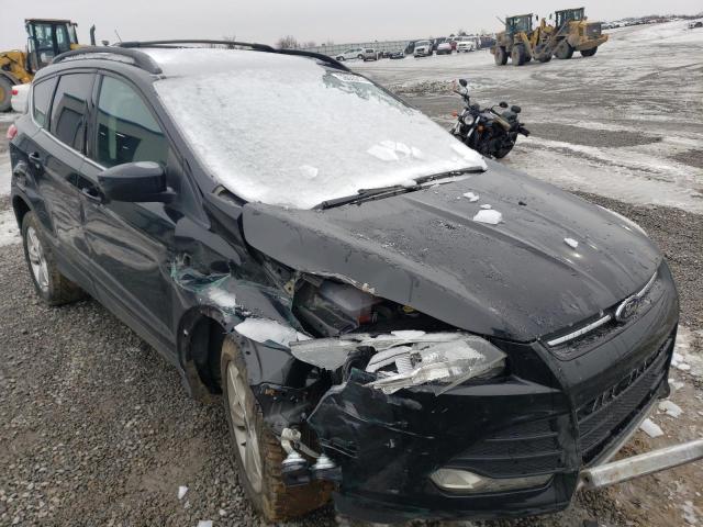 Photo 4 from auction – 2014 FORD ESCAPE SE with VIN 1FMCU9GX9EUD76006