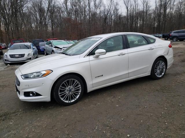 FORD FUSION SE 2013 with VIN 3FA6P0LU3DR376188 - Photo from auction