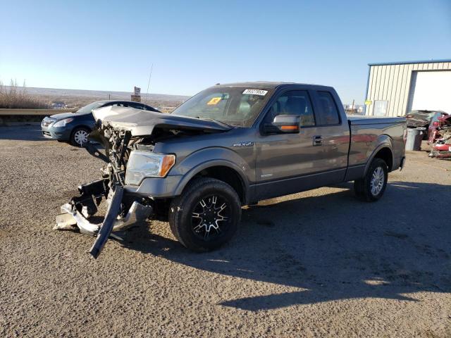 FORD F150 SUPER 2013 with VIN 1FTFX1CT2DFC20308 - Photo from auction