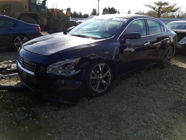 NISSAN MAXIMA S 2009 with VIN 1N4AA51E99C817073 - Photo from auction