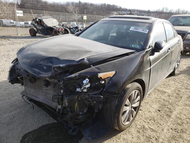 HONDA ACCORD EXL 2012 with VIN 1HGCP2F82CA201996 - Photo from auction