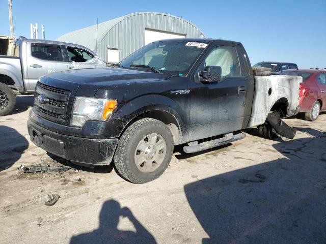 FORD F150 2013 with VIN 1FTMF1CM2DKE28196 - Photo from auction