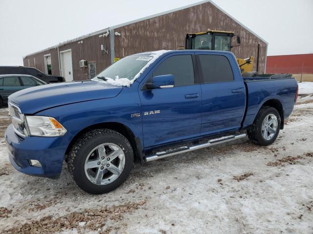 DODGE RAM 1500 2009 with VIN 1D3HV13TX9S776547 - Photo from auction
