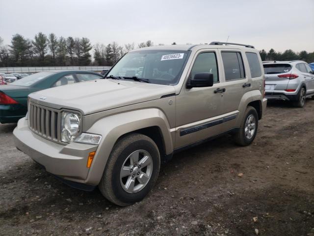 JEEP LIBERTY SP 2011 with VIN 1J4PN2GK9BW503247 - Photo from auction