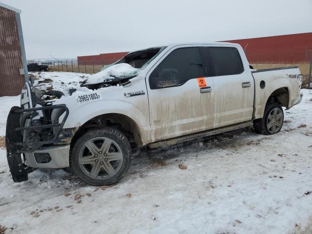 FORD F150 SUPER 2016 with VIN 1FTEW1EG8GKD18589 - Photo from auction
