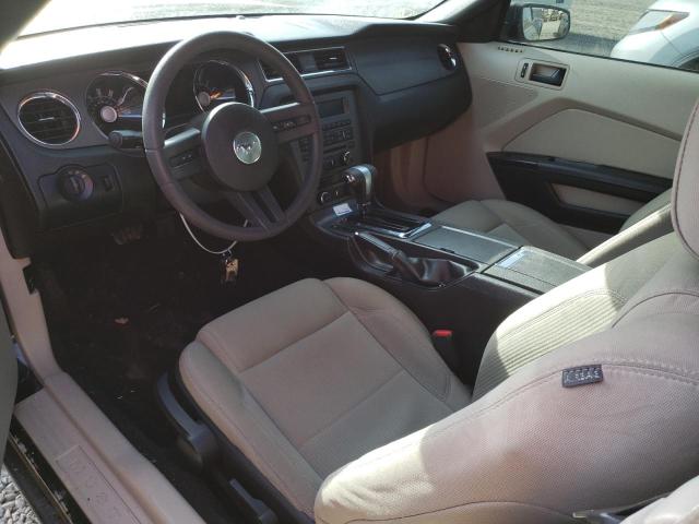 Photo 8 from auction – 2010 FORD MUSTANG with VIN 1ZVBP8EN8A5111811