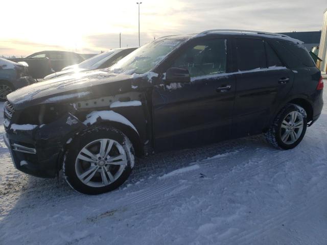 MERCEDES-BENZ ML 350 BLU 2012 with VIN 4JGDA2EB1CA044250 - Photo from auction
