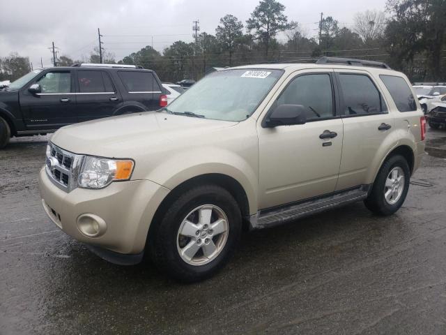 FORD ESCAPE XLT 2010 with VIN 1FMCU0DG4AKC71248 - Photo from auction
