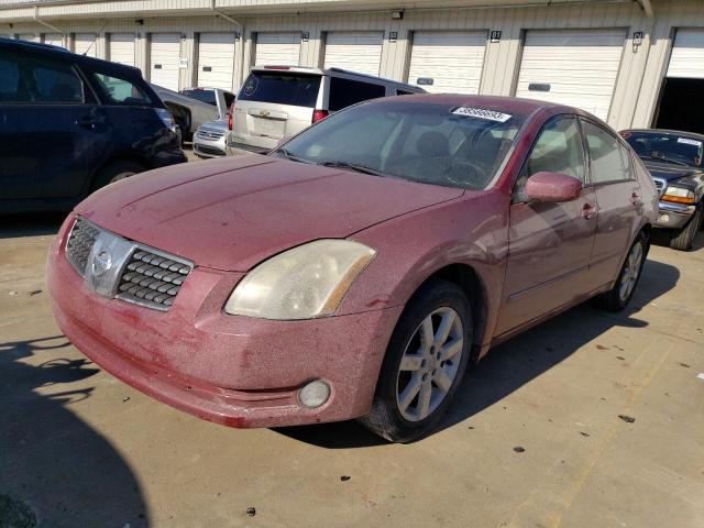 NISSAN MAXIMA SE 2005 with VIN 1N4BA41E75C872033 - Photo from auction