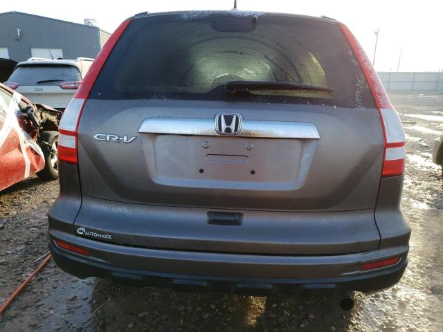 Photo 6 from auction – 2011 HONDA CR-V EXL with VIN 5J6RE3H76BL005159