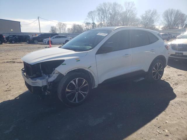 FORD ESCAPE SE 2021 with VIN 1FMCU0G68MUB09618 - Photo from auction
