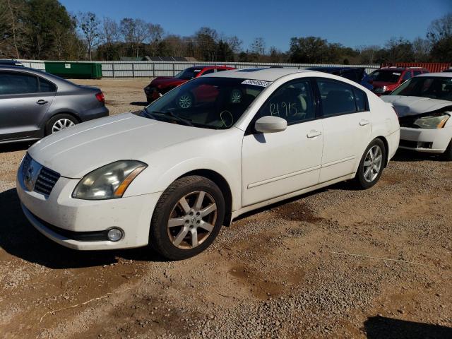 NISSAN MAXIMA SE 2005 with VIN 1N4BA41EX5C821352 - Photo from auction
