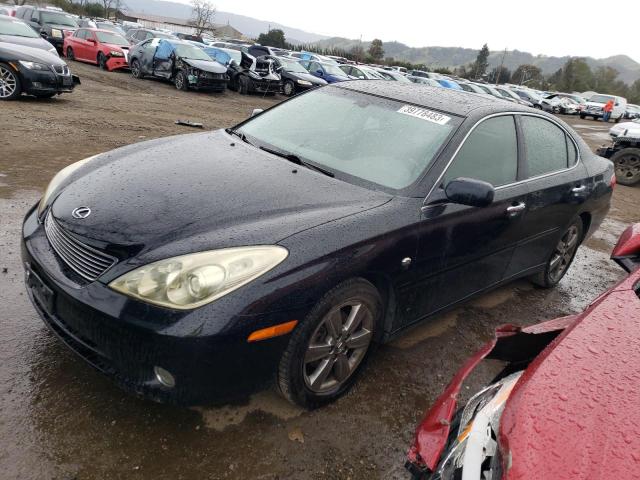 LEXUS ES 330 2006 with VIN JTHBA30G465145010 - Photo from auction