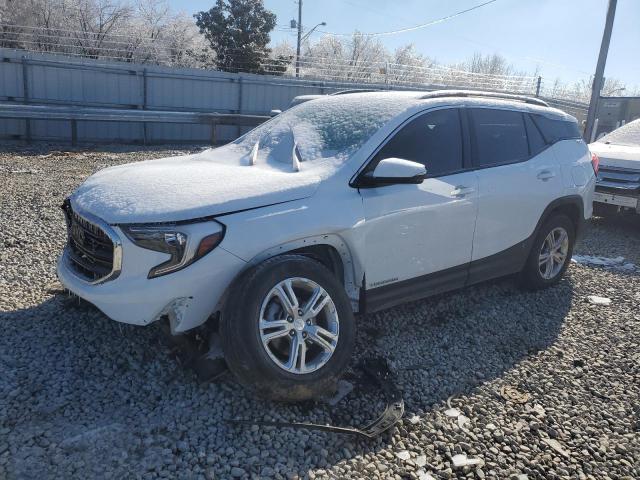 GMC TERRAIN SL 2019 with VIN 3GKALMEV0KL223236 - Photo from auction