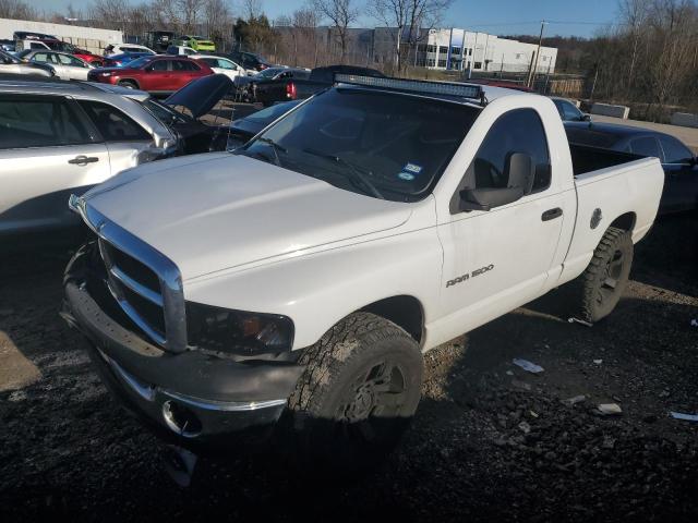 DODGE RAM 1500 2002 with VIN 1D7HA16K22J263009 - Photo from auction
