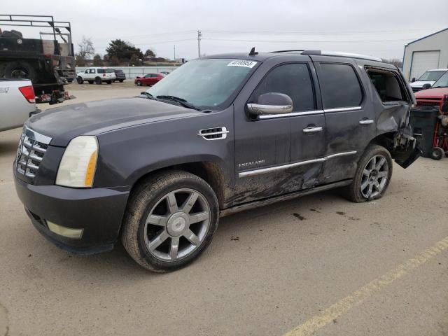 CADILLAC ESCALADE P 2010 with VIN 1GYUCCEFXAR157680 - Photo from auction
