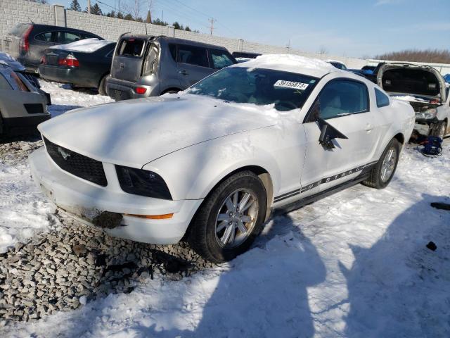 Photo 1 from auction – 2007 FORD MUSTANG with VIN 1ZVFT80N675353767
