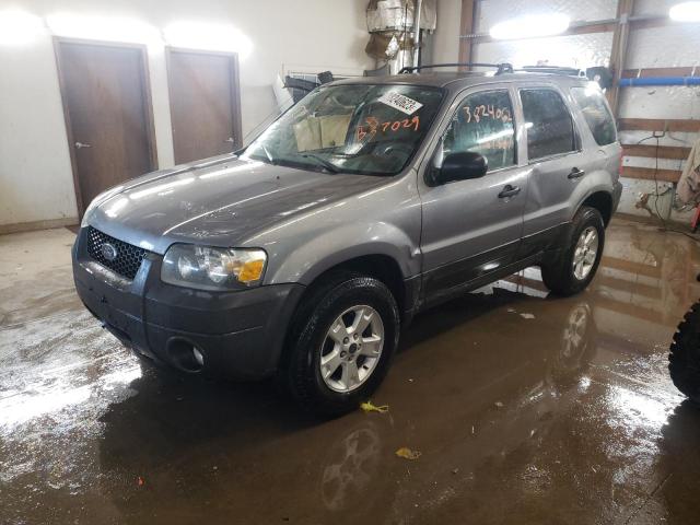 FORD ESCAPE XLT 2007 with VIN 1FMYU03187KB37029 - Photo from auction