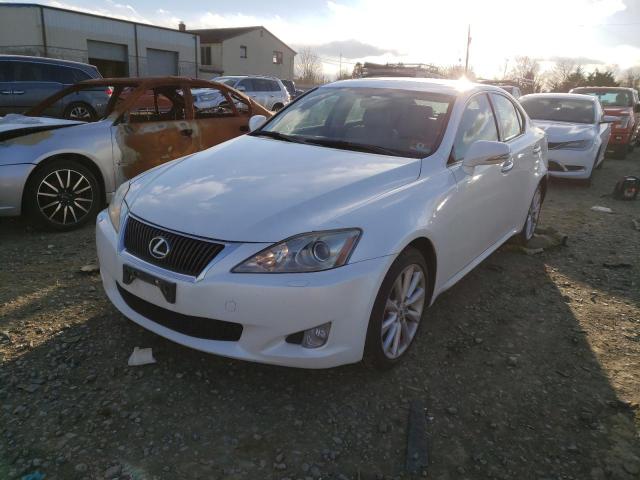 LEXUS IS 250 2009 with VIN JTHCK262392031674 - Photo from auction