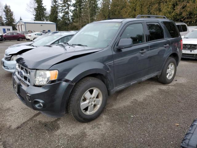 FORD ESCAPE XLT 2009 with VIN 1FMCU03709KD13847 - Photo from auction