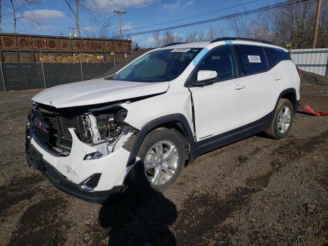 GMC TERRAIN SL 2020 with VIN 3GKALTEV3LL201002 - Photo from auction