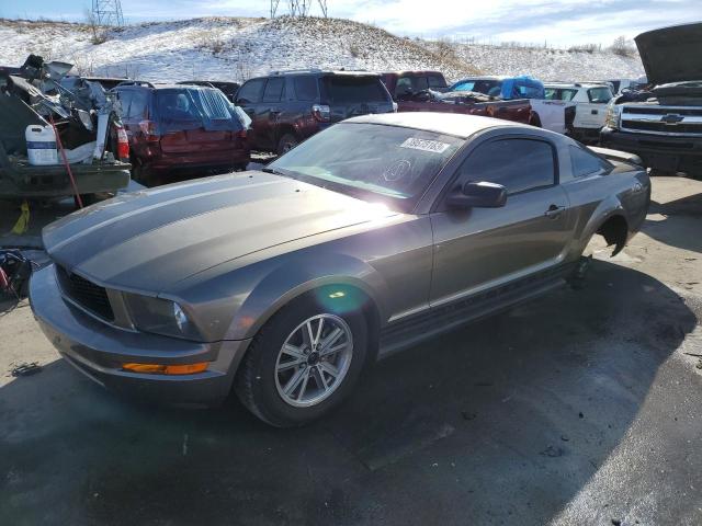 FORD MUSTANG 2005 with VIN 1ZVFT80N455162863 - Photo from auction