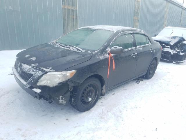 TOYOTA COROLLA BA 2010 with VIN 2T1BU4EEXAC489331 - Photo from auction