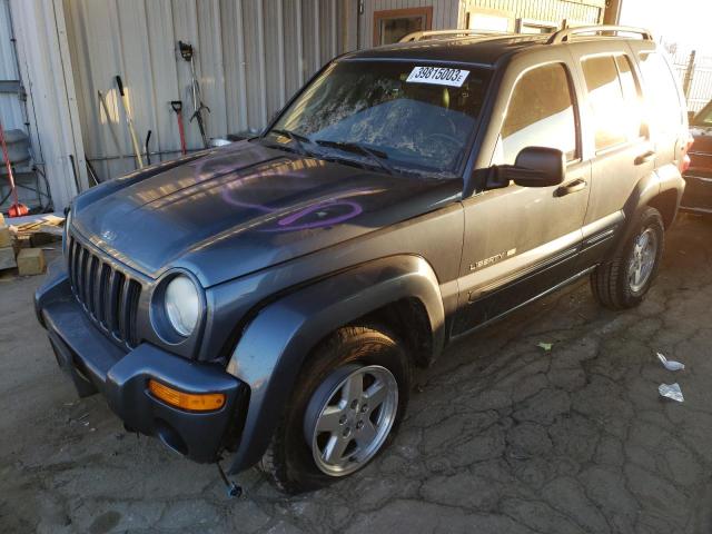 JEEP LIBERTY LI 2002 with VIN 1J4GL58K02W261664 - Photo from auction