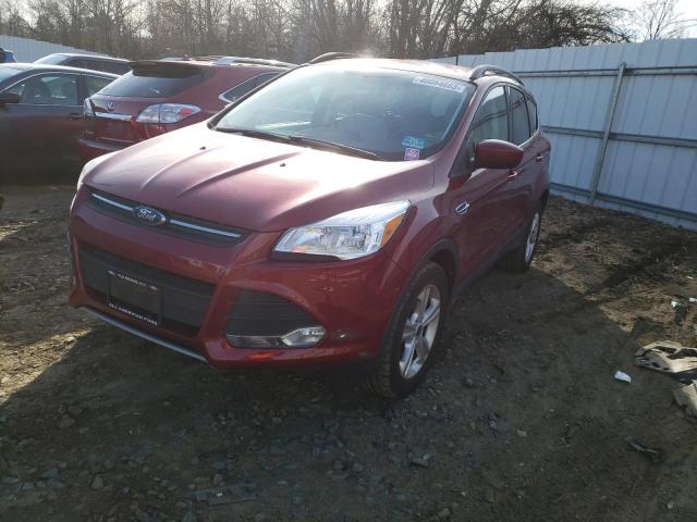 FORD ESCAPE SE 2014 with VIN 1FMCU9GX1EUA88397 - Photo from auction