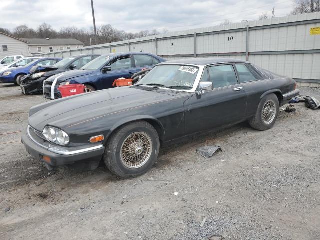 JAGUAR XJS 1985 with VIN SAJNV5845FC120512 - Photo from auction
