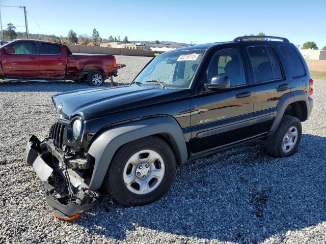 JEEP LIBERTY SP 2003 with VIN 1J4GL48K13W701029 - Photo from auction