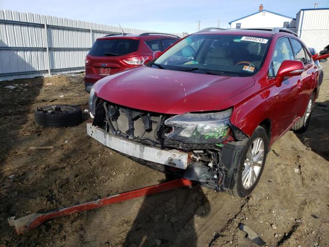 LEXUS RX 450 2010 with VIN JTJBC1BA4A2019701 - Photo from auction