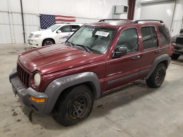 JEEP LIBERTY SP 2003 with VIN 1J4GL48K23W623389 - Photo from auction