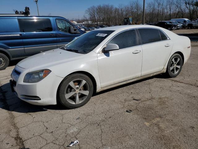 CHEVROLET MALIBU 1LT 2011 with VIN 1G1ZC5E10BF159929 - Photo from auction