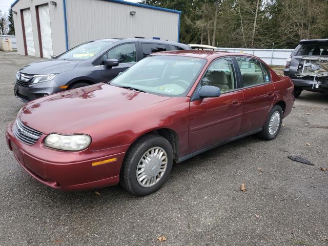 CHEVROLET MALIBU 2003 with VIN 1G1ND52J53M687785 - Photo from auction