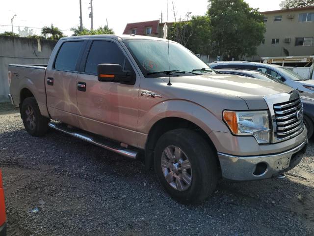 Photo 4 from auction – 2010 FORD F150 SUPER with VIN 1FTFW1EVXAFB32880