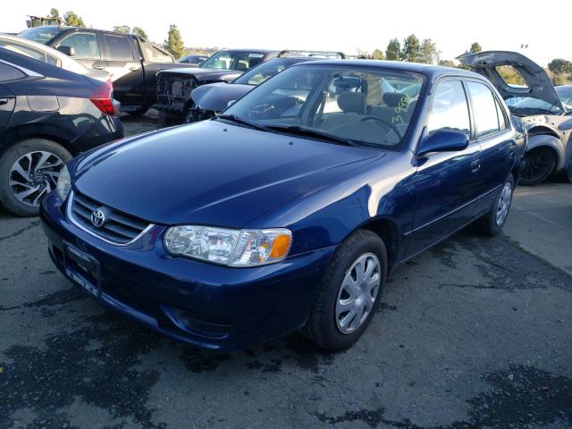 TOYOTA COROLLA CE 2002 with VIN 1NXBR12E82Z617408 - Photo from auction