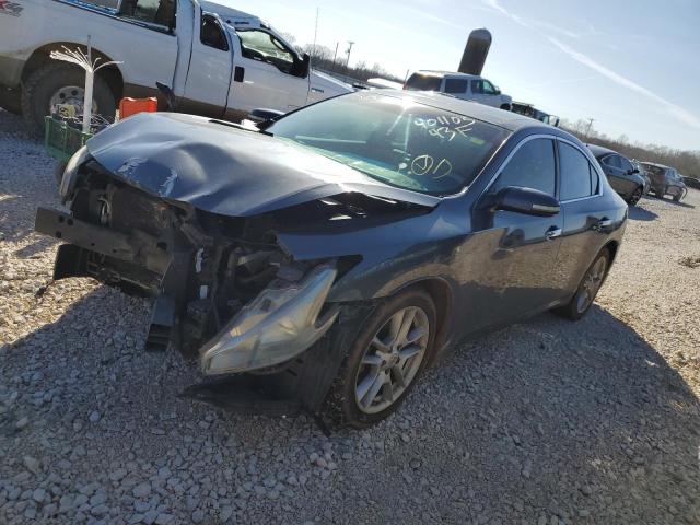 NISSAN MAXIMA S 2009 with VIN 1N4AA51E99C856178 - Photo from auction