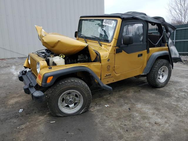 JEEP WRANGLER / 2003 with VIN 1J4FA29183P342655 - Photo from auction