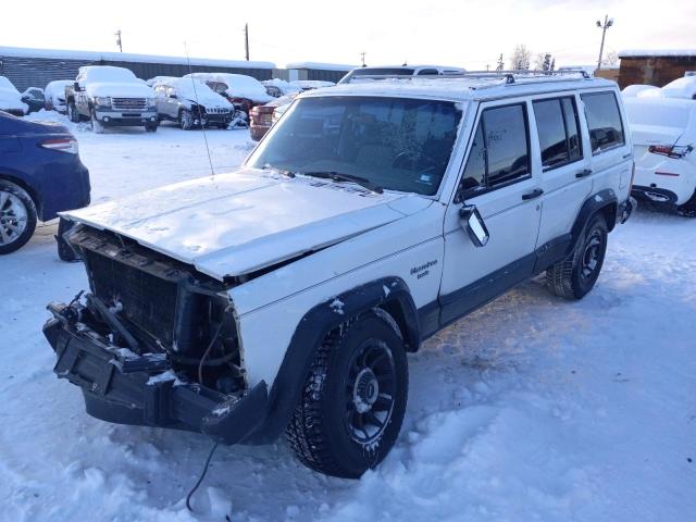 JEEP CHEROKEE L 1990 with VIN 1J4FJ58L1LL292435 - Photo from auction