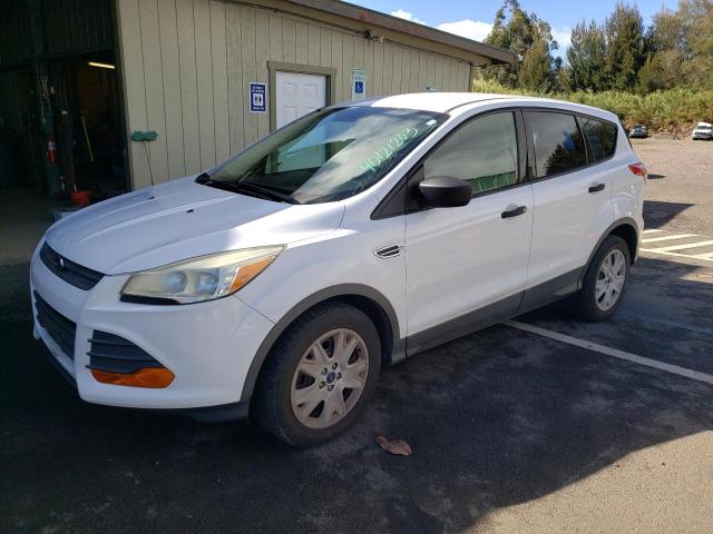 FORD ESCAPE S 2014 with VIN 1FMCU0F72EUC01285 - Photo from auction