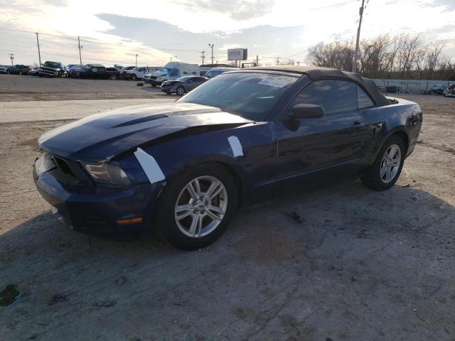 FORD MUSTANG 2011 with VIN 1ZVBP8EM0B5118034 - Photo from auction