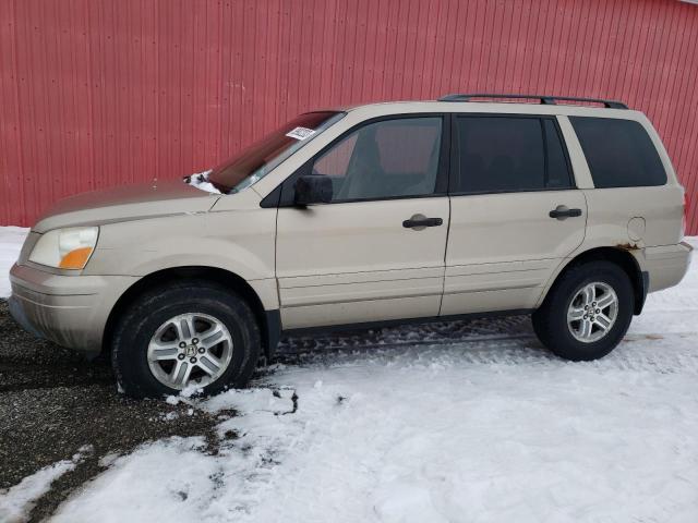 HONDA PILOT EX 2005 with VIN 2HKYF18465H506599 - Photo from auction