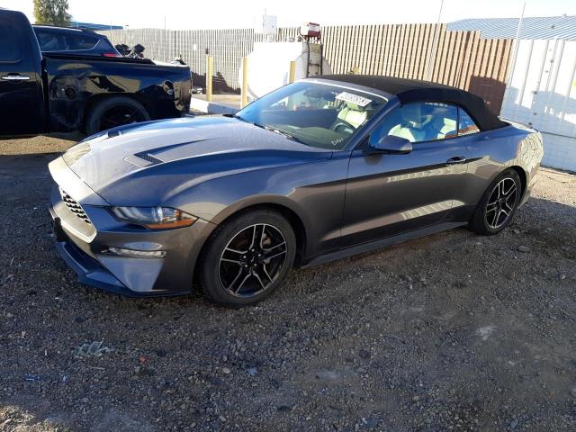 FORD MUSTANG 2021 with VIN 1FATP8UH8M5111689 - Photo from auction