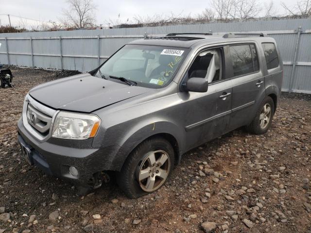 HONDA PILOT EXLN 2011 with VIN 5FNYF4H70BB035619 - Photo from auction