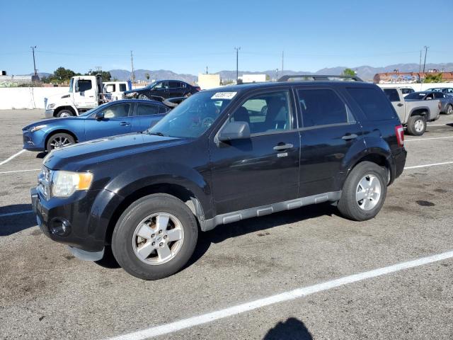 FORD ESCAPE XLT 2011 with VIN 1FMCU0D76BKB66731 - Photo from auction